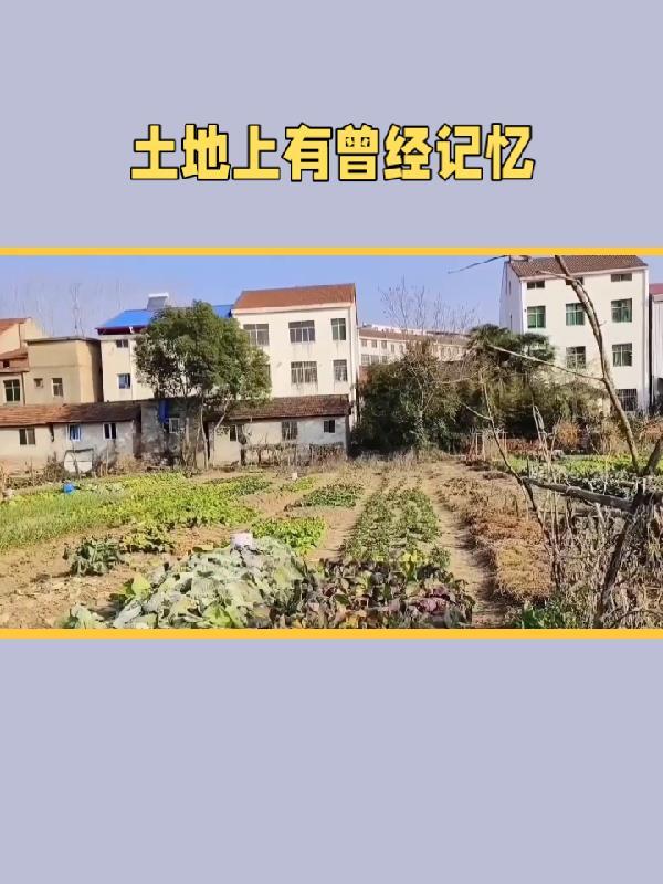 曾经荒凉的土地上 曾经荒凉的土地上