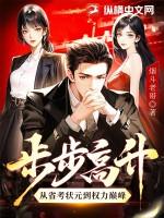步步高升从省考状元到权力巅峰 作者 步步高升从省考状元到权力巅峰 作者