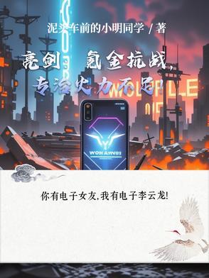 亮剑游戏怎么样 亮剑游戏怎么样