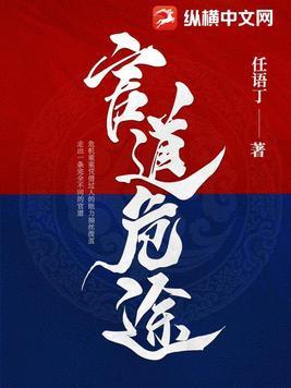 权力巅峰官道危途