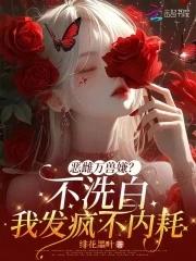 精灵帕底亚退役冠军的再就业 逻辑错误的逻辑猫 精灵帕底亚退役冠军的再就业 逻辑错误的逻辑猫